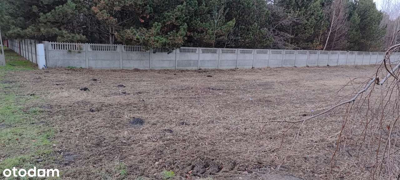 1800m w Żukówka (Błonie); 30min. do Warszawy; 5km do A2 blisko PKP - Pełny obrazek: 2/11