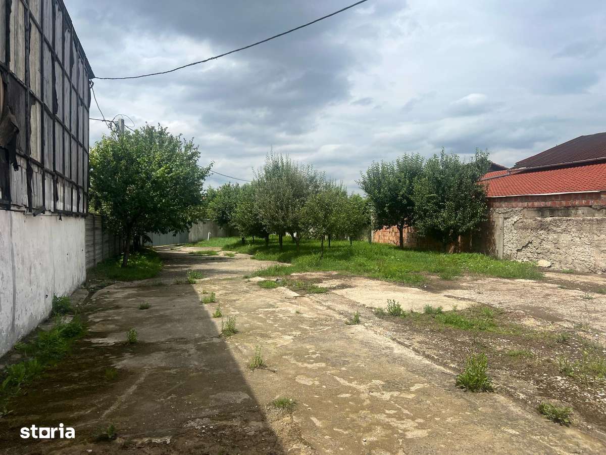 Teren industrial 891 mp, Sanmartin-Rontau-3