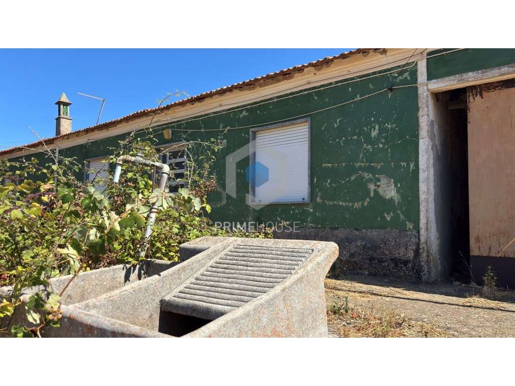 Moradia T3 para recuperar - Grande imagem: 5/34