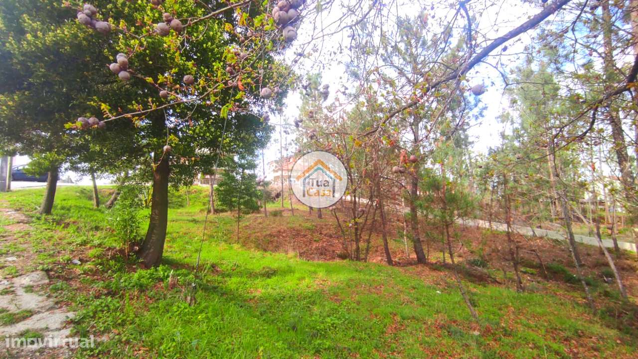 Terreno Urbano, Viseu - Grande imagem: 5/21