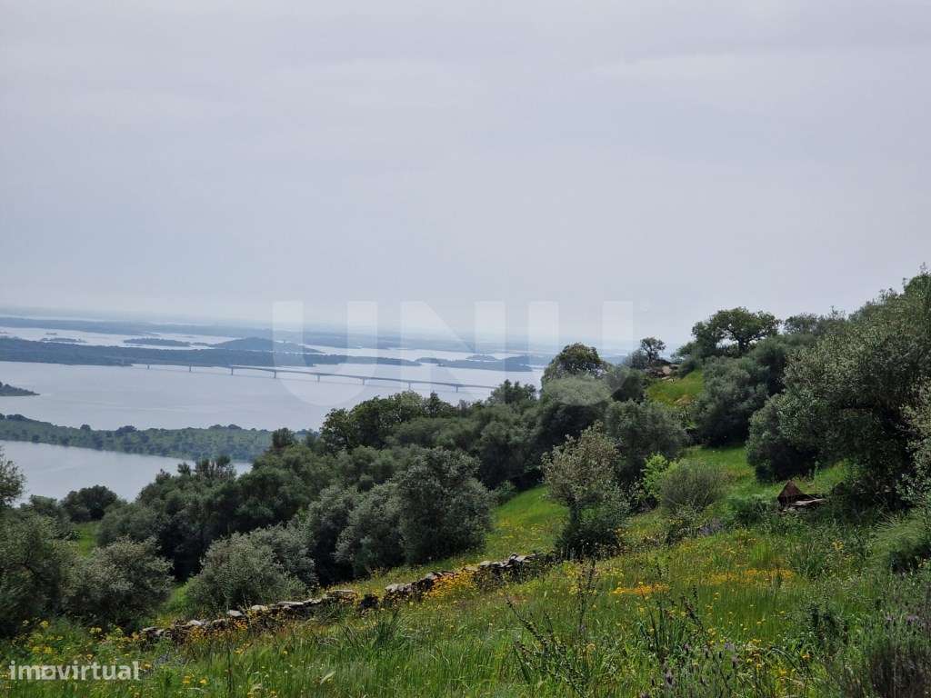 Terreno na Encosta do Castelo de Monsaraz - Grande imagem: 5/23