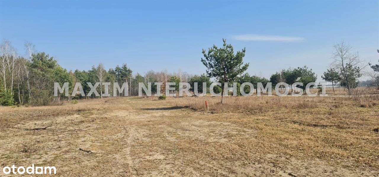 Działki budowlane z wodą i kanaliz. pod lasem - Pełny obrazek: 5/17