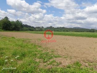 Terreno agrícola, para venda, Braga - Adaufe