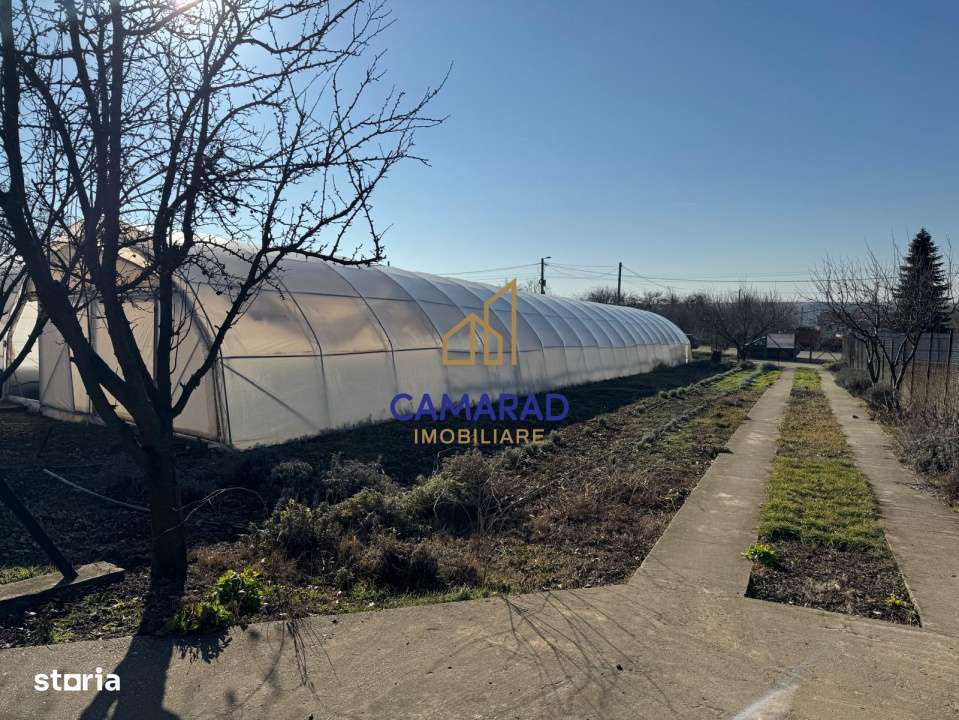 Teren intravilan vanzare - 2.750 mp – Darvari/Tamadalu Mare (judetul - Imagine principală: 2/9