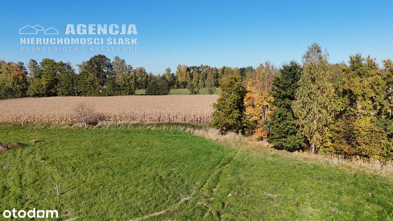 Działki budowlane w otoczeniu terenów zieleni-7