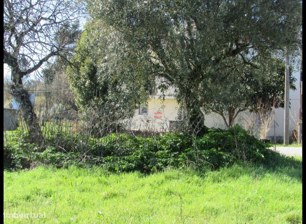 Terreno Rústico C/ poço - Grande imagem: 4/6