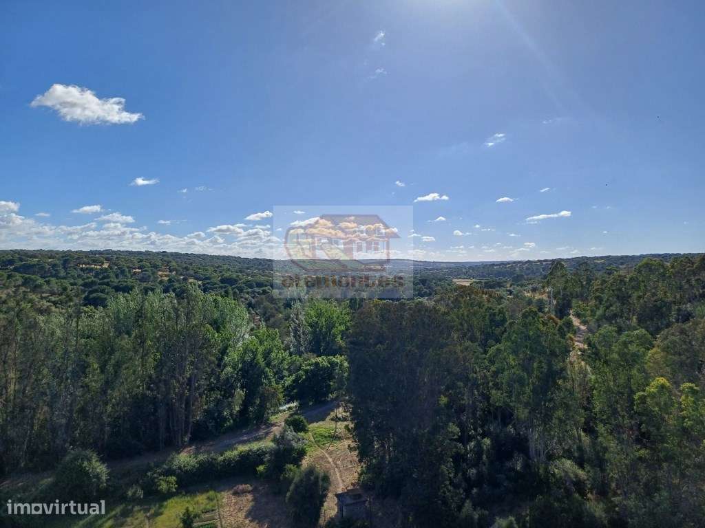 Moradia térrea com pátio e terraço-18