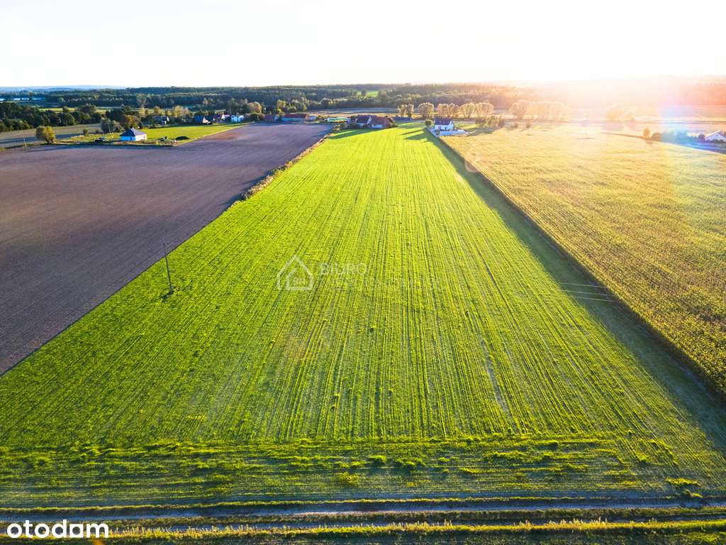 Jeśli szukasz ciszy i spokoju to dobrze trafiłeś - Pełny obrazek: 2/12