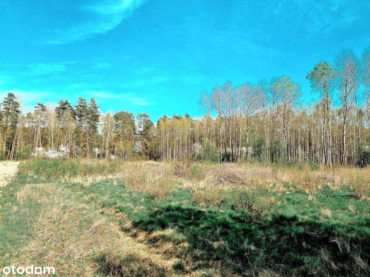 Działka siedliskowa w Zabłudowie. - Pełny obrazek: 2/8