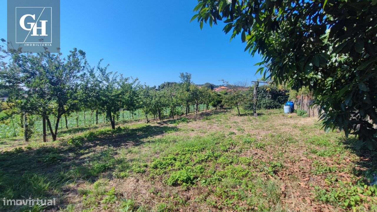 Terreno em Gondifelos - Grande imagem: 5/14