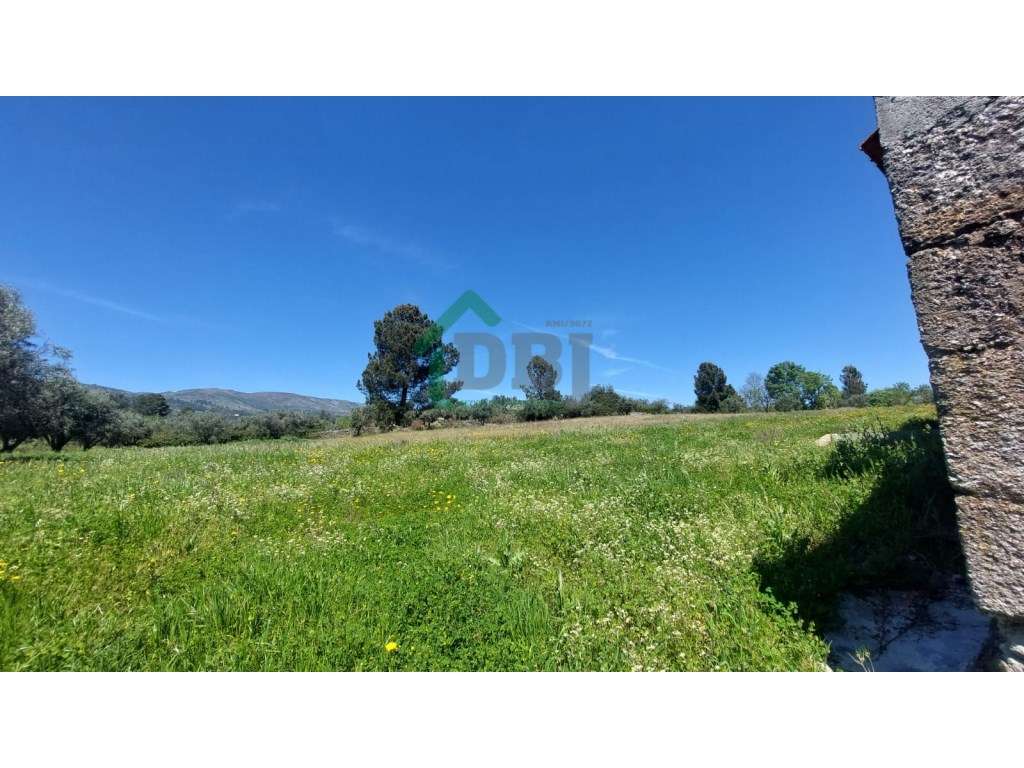 Fabulosa Quinta próxima da Ponte Pedrinha-8