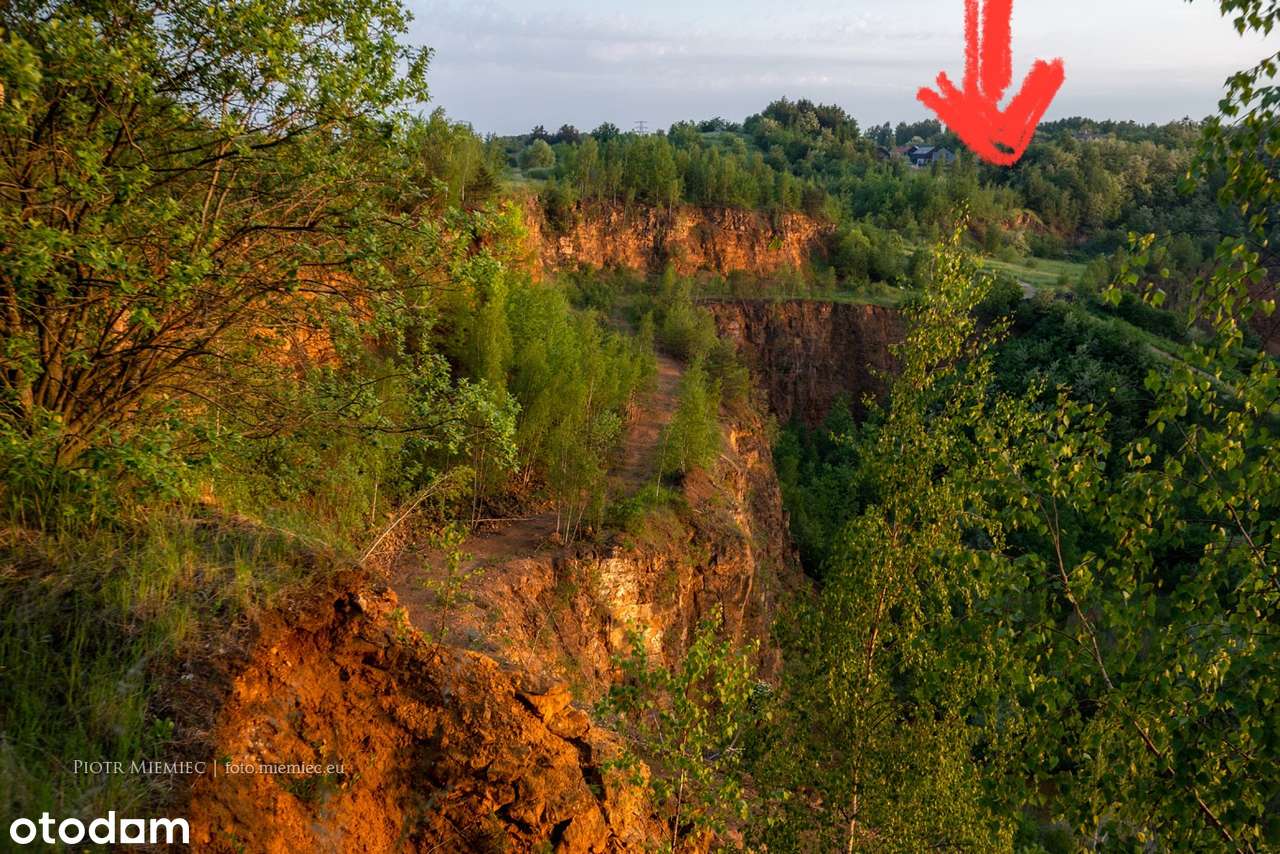 Widokowa działka 2295m2 Segiet (Sucha Góra) Bytom/Tarnowskie Góry - Pełny obrazek: 4/5