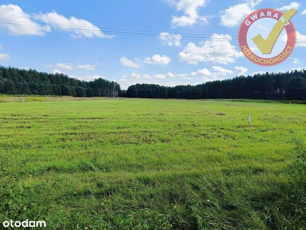 Malownicza Działka Przy Lesie Blisko Torunia !!! - Pełny obrazek: 4/5