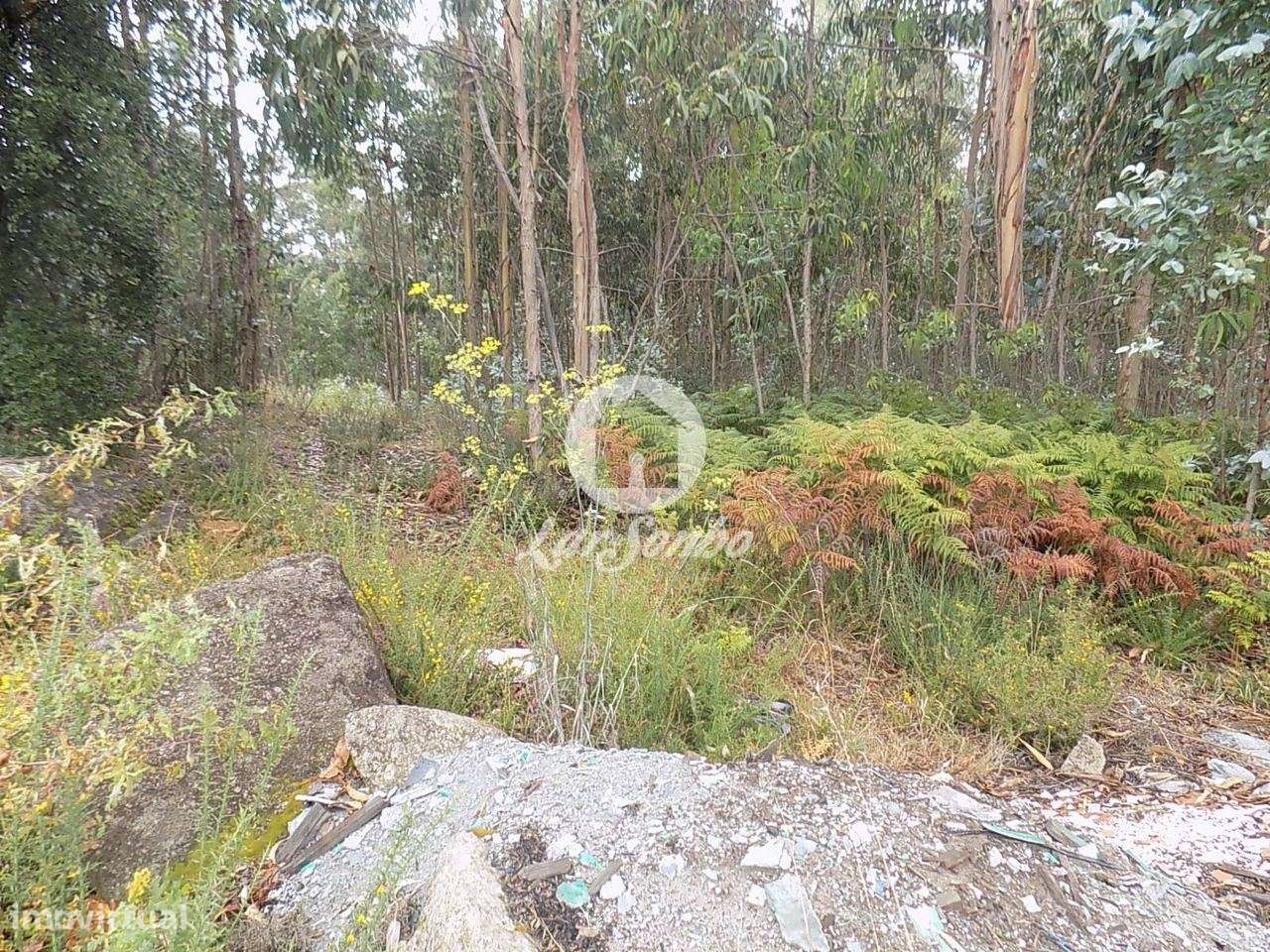 Lote industrial + lote comercial c/ 4.643 m2 perto do nó da A3, Vil... - Grande imagem: 4/4