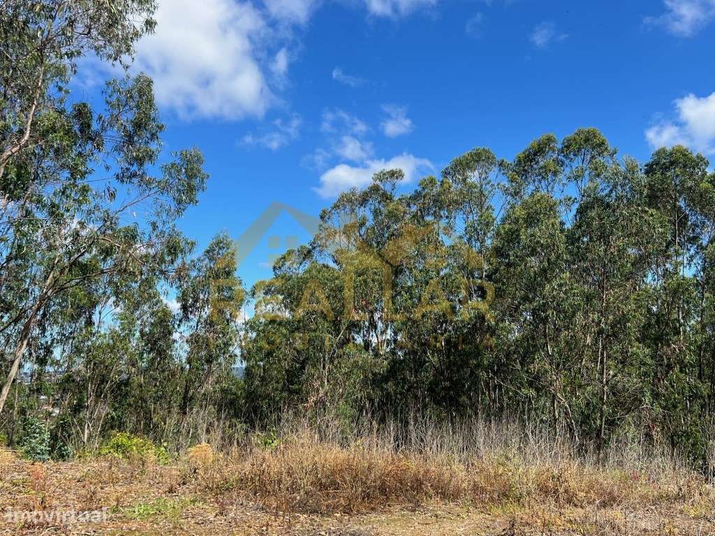 Terreno para construção em Balazar - Póvoa de Varzim - Grande imagem: 5/19