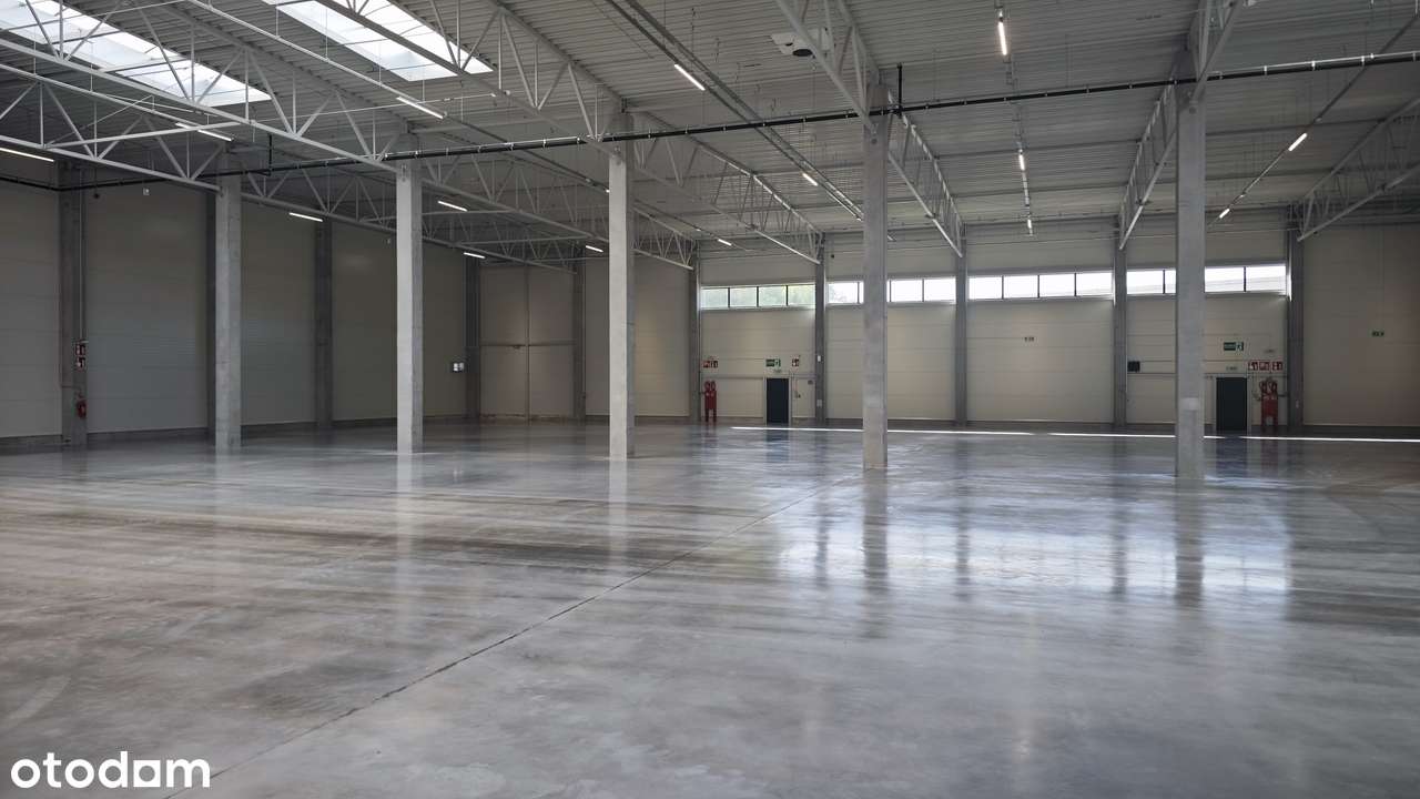 Magazyn w Kielcach / 17 000 m² / 0% prowizji
