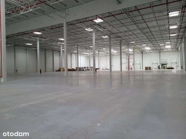 Moduł idealny pod branże modową - Pełny obrazek: 4/5