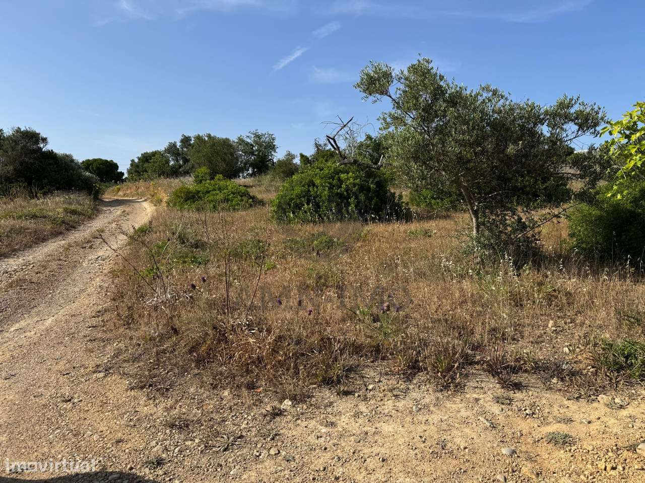 Quinta c/casas, eira e terreno misto – Chaveca, Faro-11