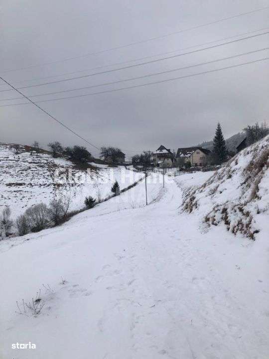 Teren 725 MP | Moieciu de Jos | Piatra Craiului | Oportunitate de inve - Imagine principală: 2/8