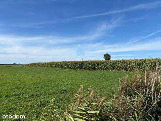 Grunt pod inwestycje Owieczki gm. Łubowo-7