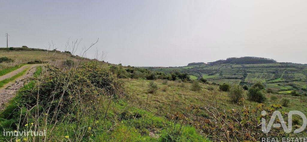 Terreno Agrícola em Ericeira - Grande imagem: 5/35