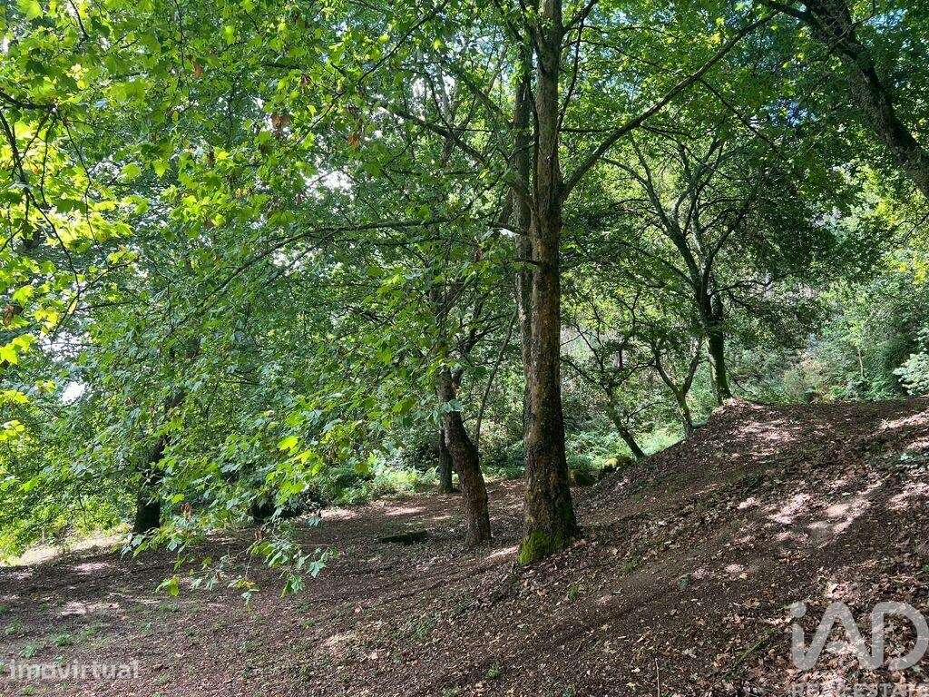Terreno em Recezinhos (São Mamede) de 4398,00 m2 - Grande imagem: 5/25