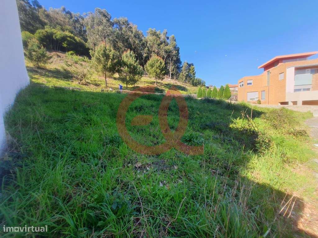 Lote para Construção de Edifico com dois Apartamentos T3 - Abelheir... - Grande imagem: 2/11