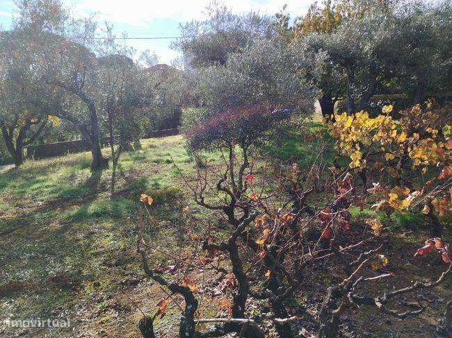 Terreno para construção no Dominguiso - Grande imagem: 2/3