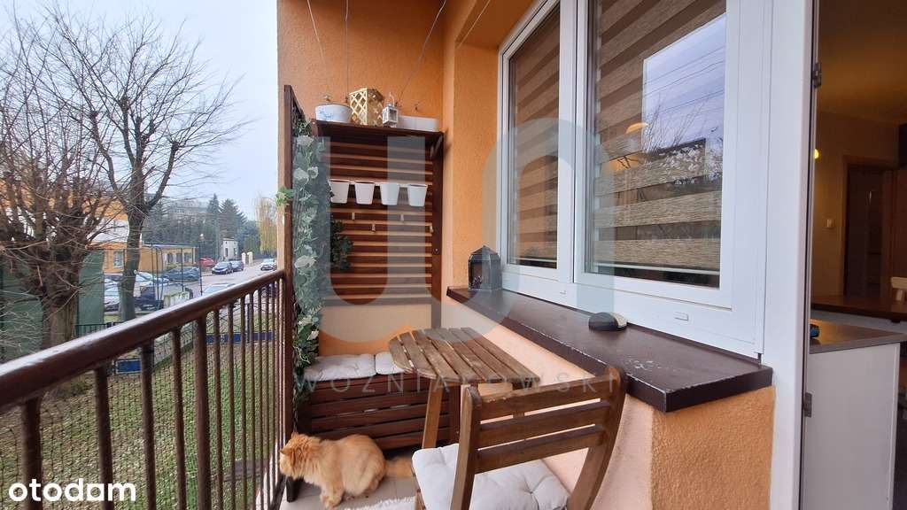 1 piętro/ M3/ Po remoncie/ Balkon i 2 piwnice - Pełny obrazek: 5/19
