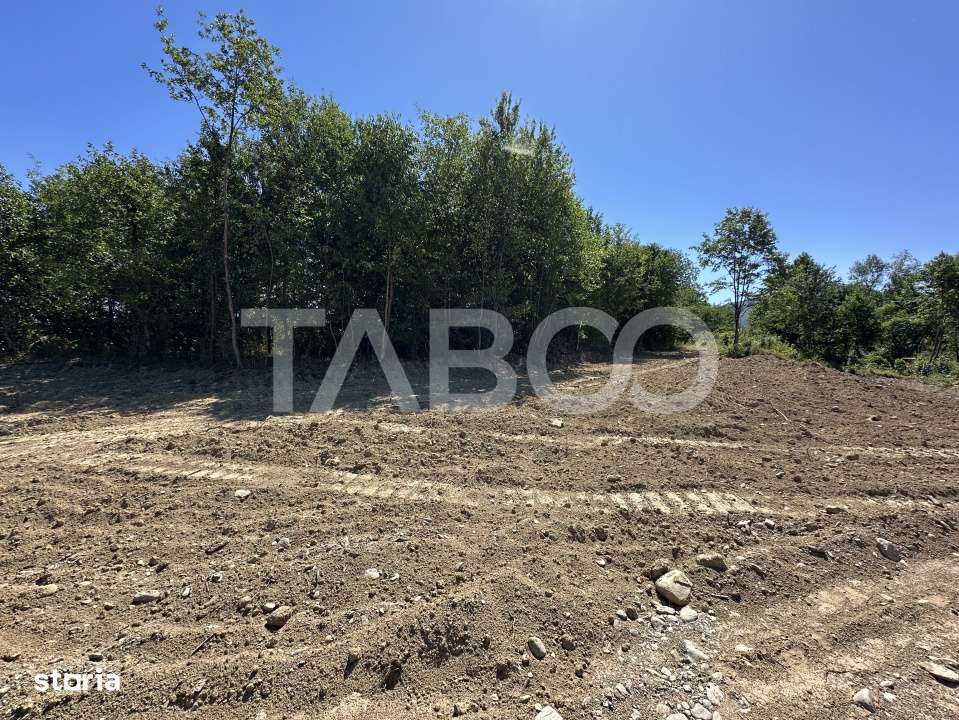 Teren extravilan cu utilitati 1800 mp langa Rau pe Valea Sebesului - Imagine principală: 3/6