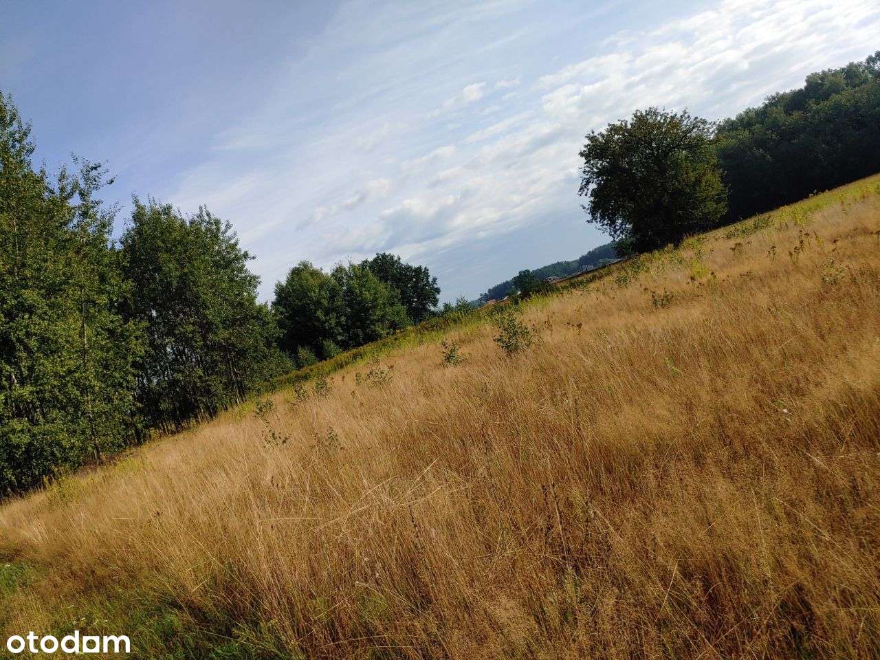 Działka rolna 1,16 ha, 50min od Warszawy - Pełny obrazek: 4/7