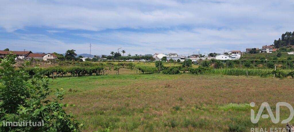 Terreno para construção em Cristelos, Boim e Ordem de 7000,00 m2 - Grande imagem: 5/11