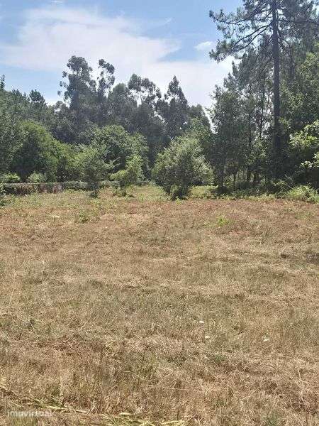 Vendo    Terreno - Grande imagem: 4/9