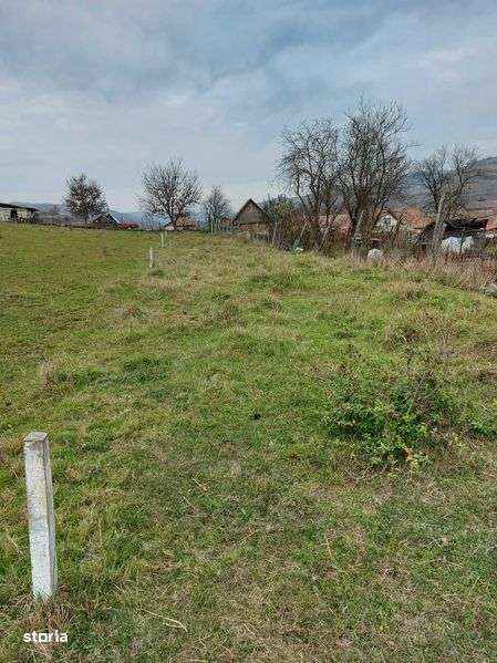 Teren intravilan de vanzare - Imagine principală: 4/4