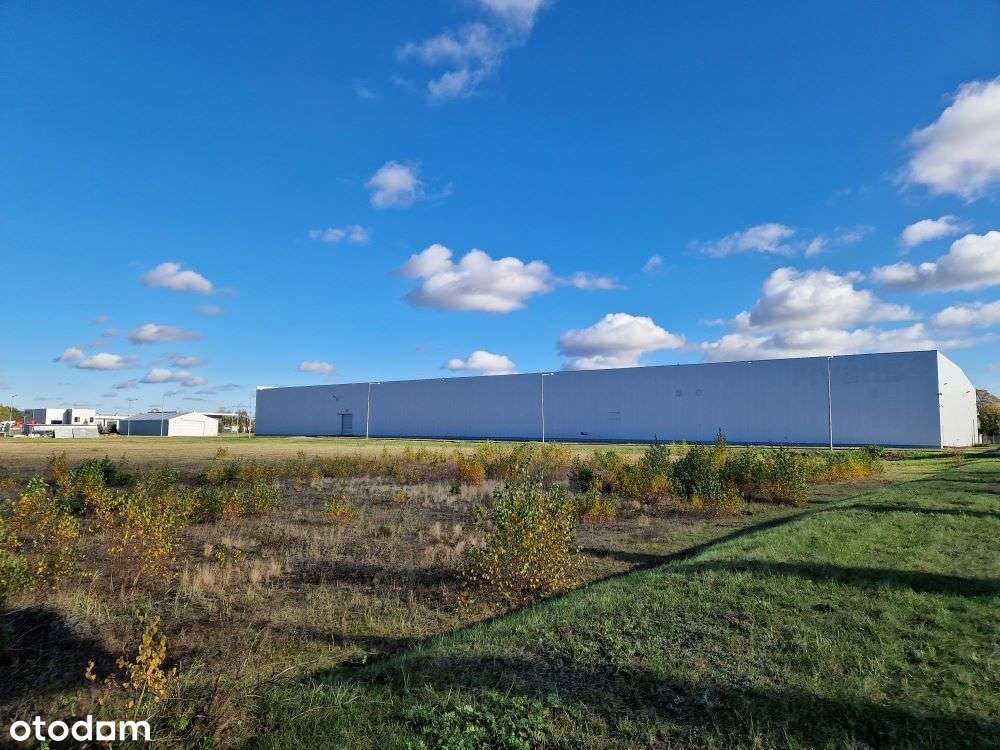 Właściciel - Magazyn, Produkcja, Handel BEZPOŚREDO - Pełny obrazek: 4/10