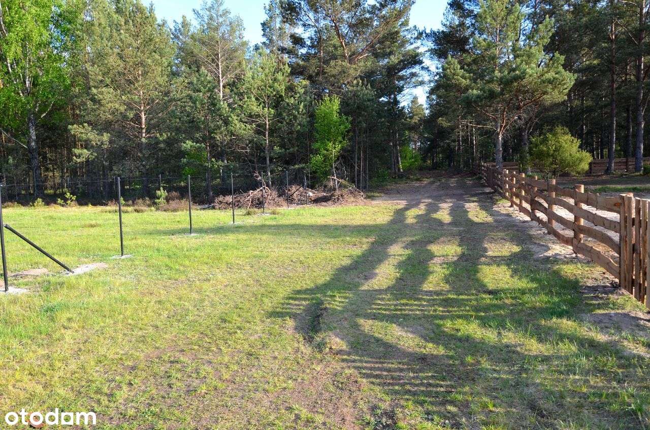 Działka budowlana w Borsku nad jeziorem Wdzydze-5