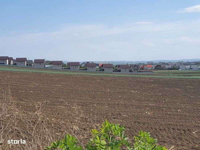 Teren Dealu Crucii - Sf. Ilie, 1173 mp - Imagine principală: 4/5