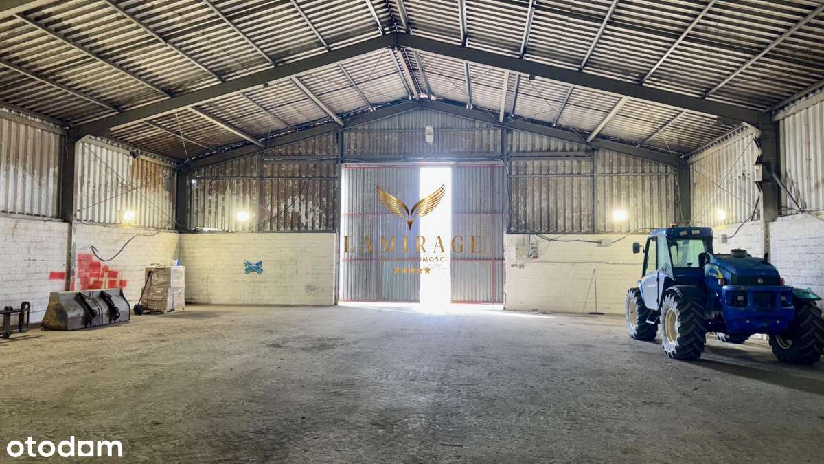 Magazyn od zaraz - Pełny obrazek: 5/6