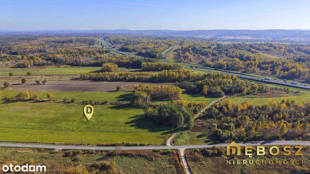 Borek | Duża działka Produkcyjno-Usługowa - 2.5ha - Pełny obrazek: 5/12