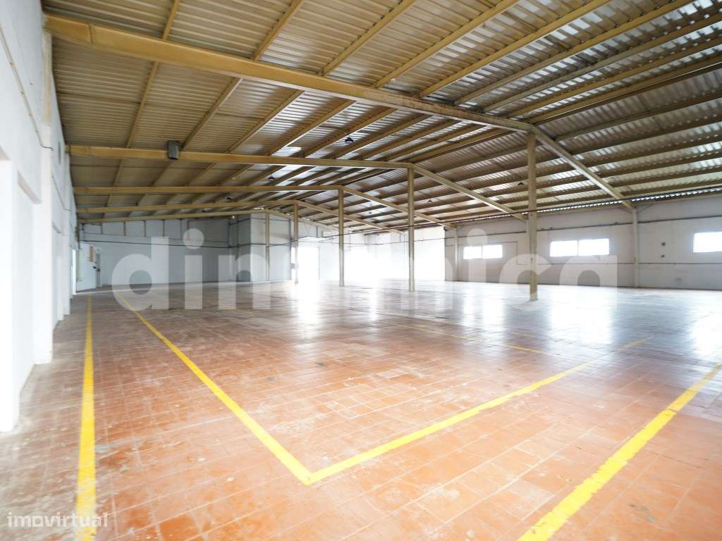 Imóvel Industrial / Serviços-37