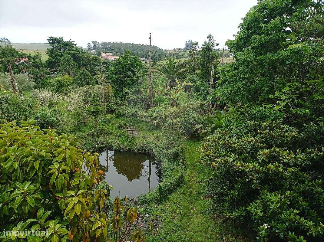 Quinta T4 para venda - Grande imagem: 5/22