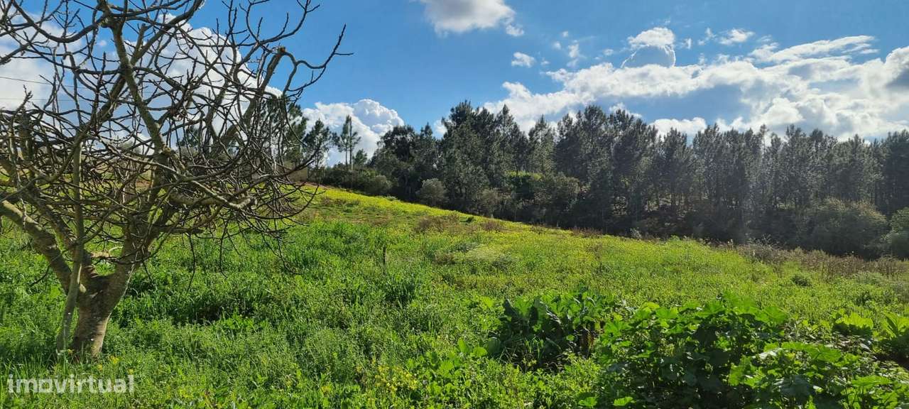 Vivenda Isolada com terreno - Alenquer-46