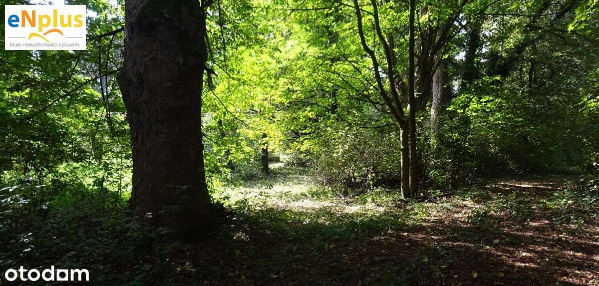 Posiadłość z malowniczym parkiem w Winiarach w gmi - Pełny obrazek: 5/20