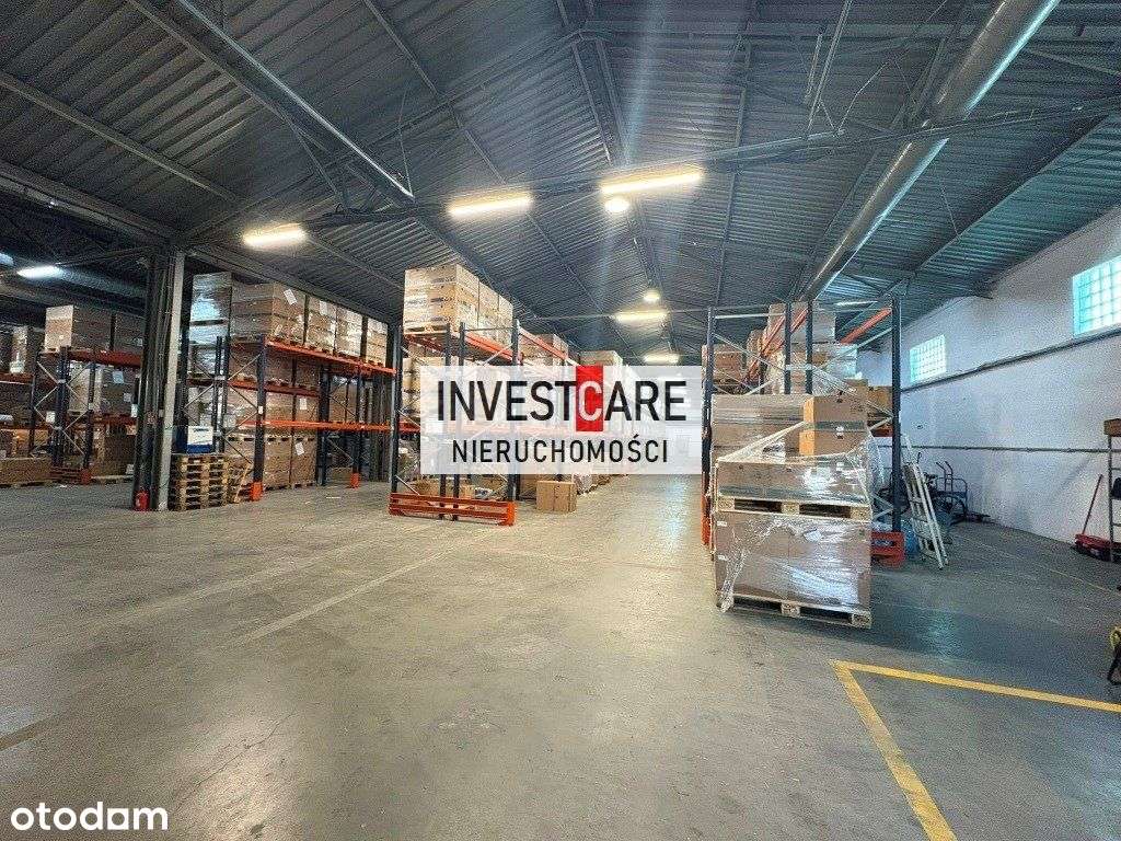 720 mkw przy drodze Dk 86 Bezpyłowa posadzka - Pełny obrazek: 4/8