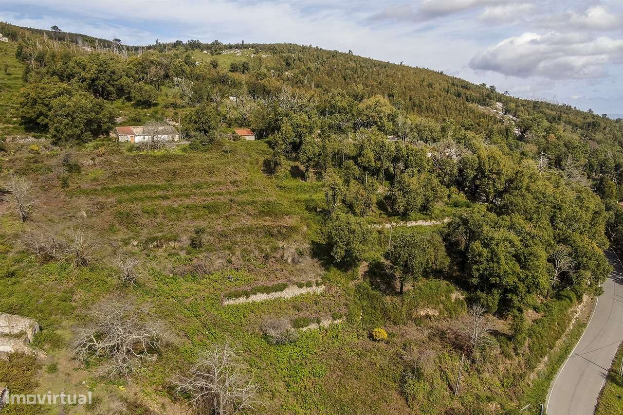 Terreno com Ruína, Monchique, Algarve - Grande imagem: 3/28