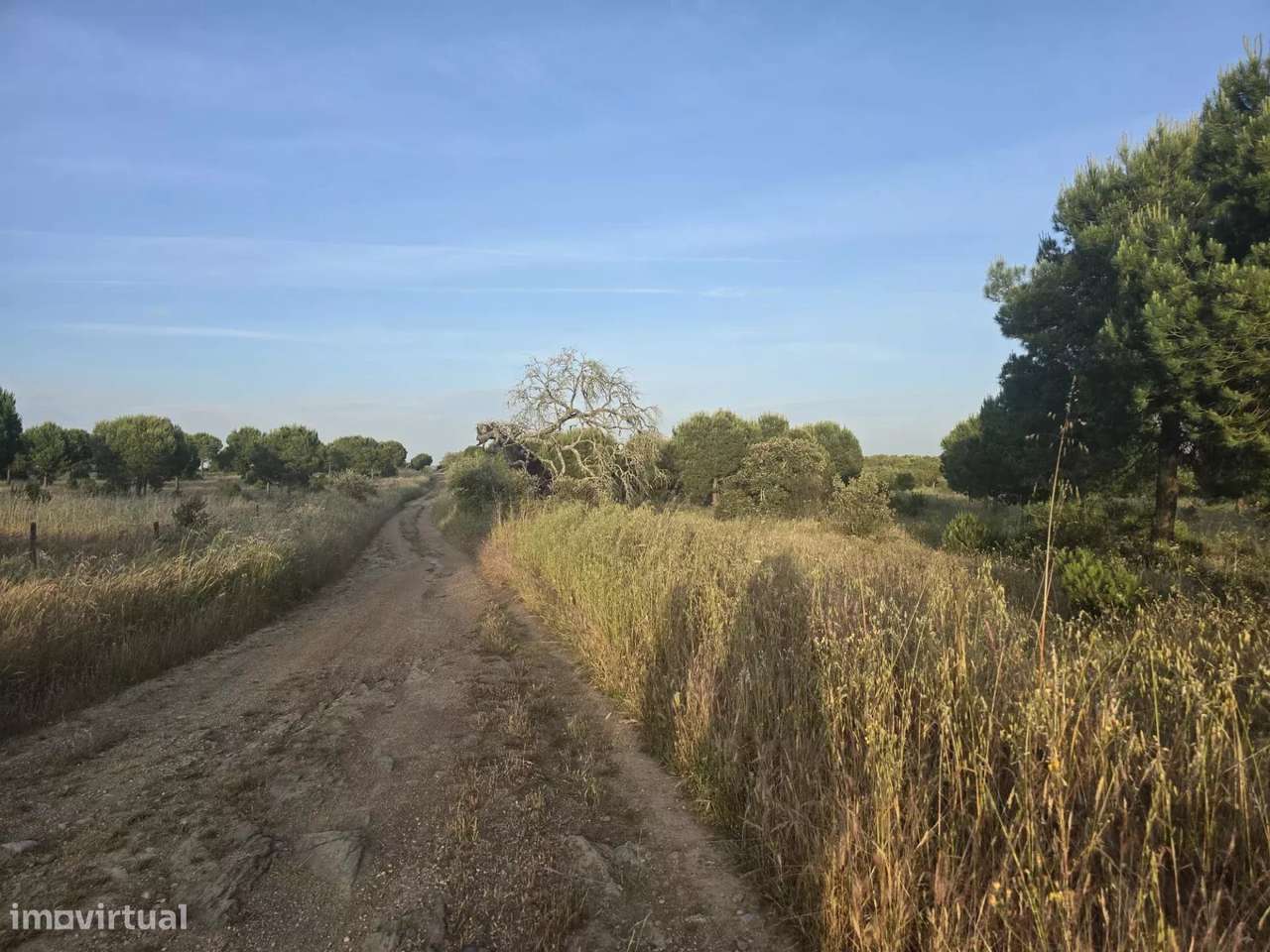 Baixo Alentejo – 55,9 ha de Liberdade e Potencial no Baixo Alentejo - Grande imagem: 1/10