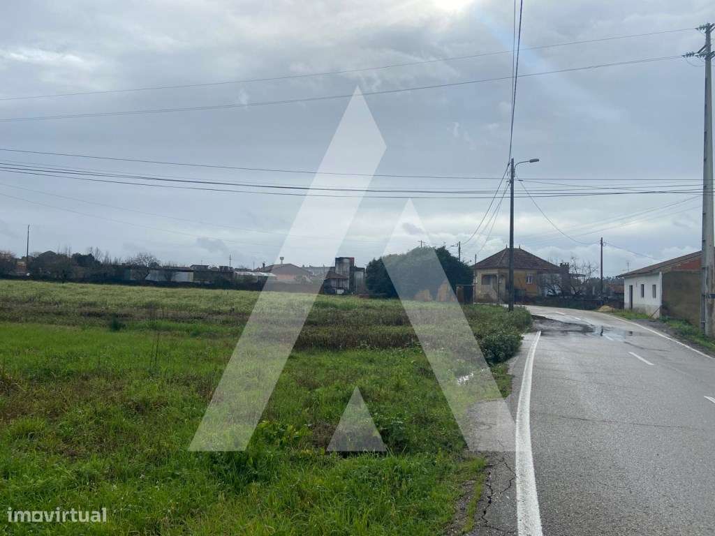 terreno na Amoreira da Gândara em Anadia-5