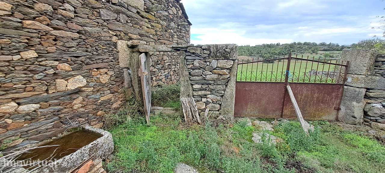 Quinta em Travanca, Mogadouro-56