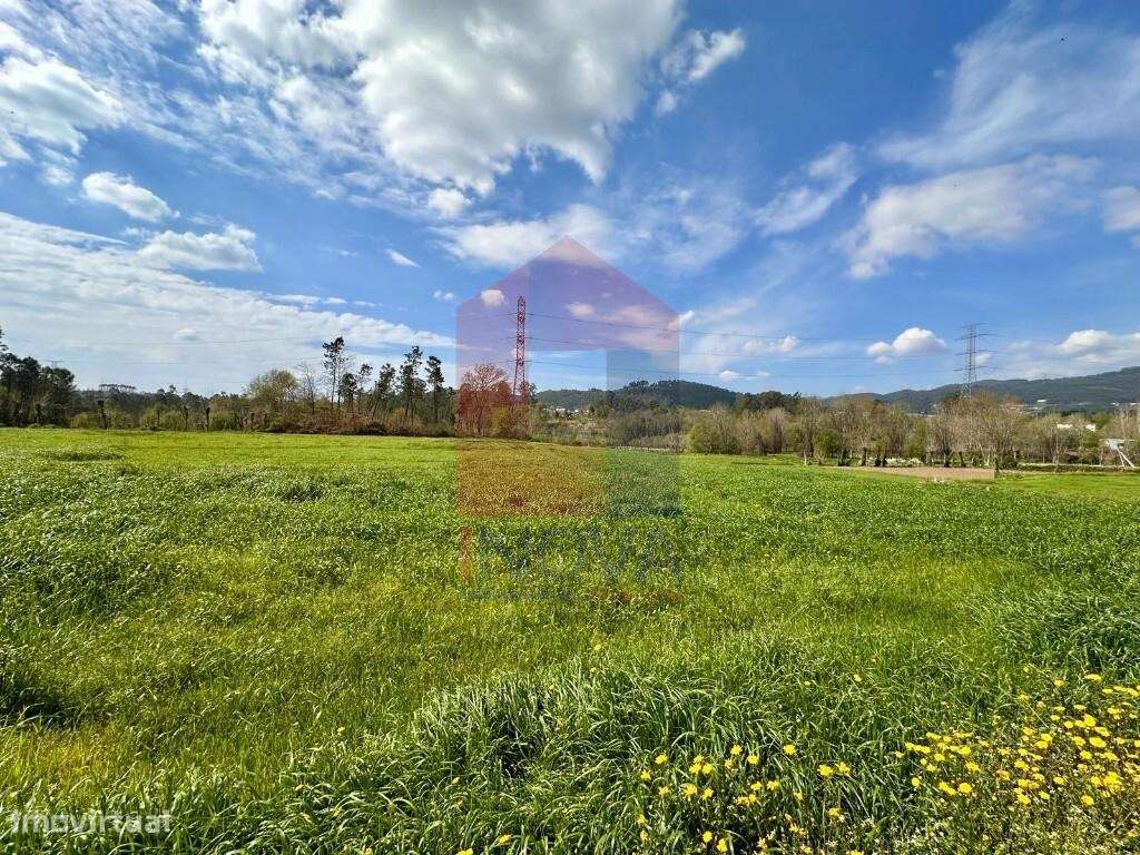 Terreno agrícola, Lanhas - Grande imagem: 4/27