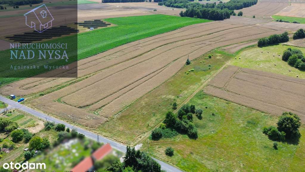 działka budowlano - rolna! pow. 7068 m2! - Pełny obrazek: 4/5